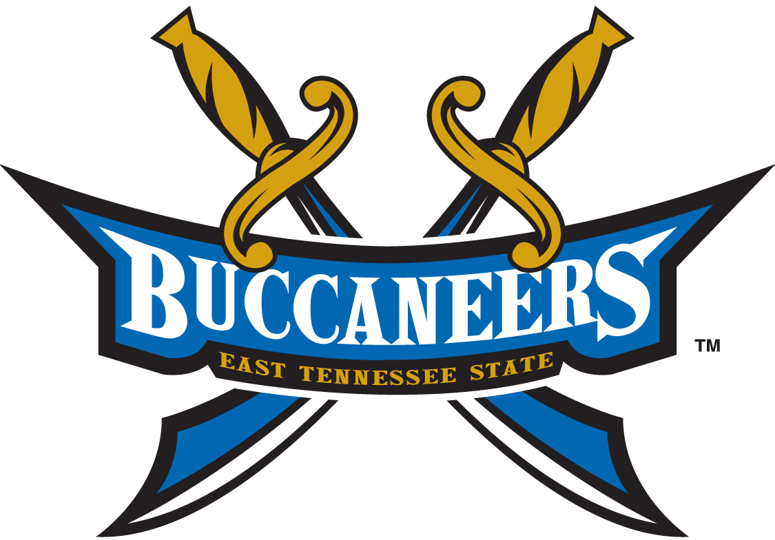 ETSU Buccaneers 2002-2013 Alternate Logo DIY iron on transfer (heat transfer)